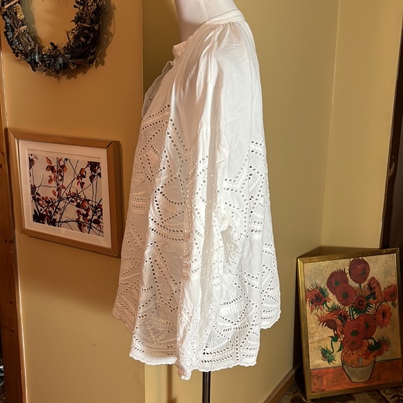SUNDANCE Size Large +  Eyelet Popover VNeck Poet Top White Peasant Tunic Cotton - Picture 6 of 10